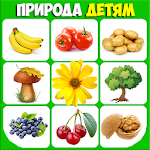 Cover Image of Скачать Овощи и фрукты - Учим слова 4.9 APK
