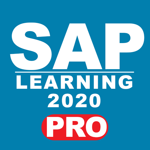 LEARN SAP 2020 pro 13.0 Icon