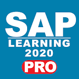 LEARN SAP 2020 pro icon