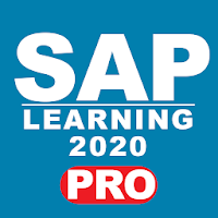 LEARN SAP 2020 pro