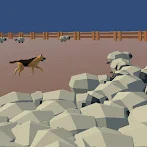 Shepherd