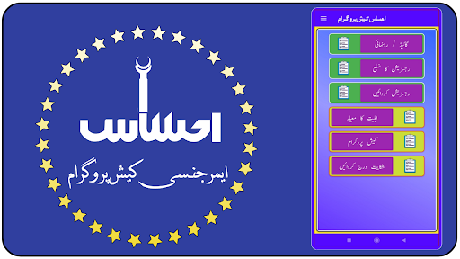 PM Ehsaas Cash Portal  Guide