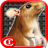 Sewer Rat Run! 3D icon