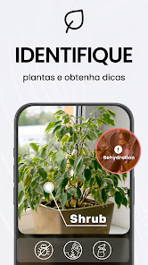 Imagem de captura de ecrã