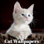 Cover Image of Télécharger Beautiful Cat Wallpapers 1.0 APK