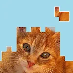 Cover Image of ダウンロード Tris Puzzles  APK