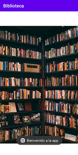 Android application Biblioteca-0512 screenshort