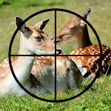 Sniper Deer Hunting Challenge icon
