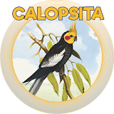 CALOPSITA icon