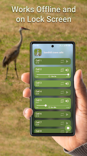 Crane Hunting Calls Screen 3