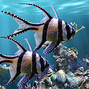 Die echten aquarium Live-Hintergrund