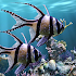 The real aquarium - LWP2.37 (Pro)