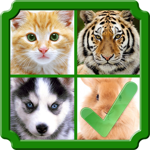 Guess 4 Pics 1 Wrong