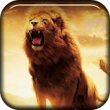 Lion Roaring Live Wallpaper icon