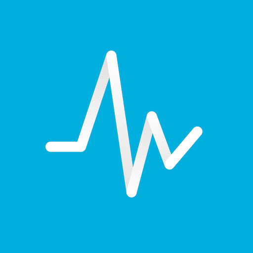 BridgIT - Wellbridge Health logo