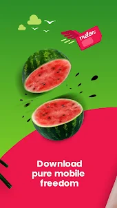 Melon Mobile