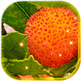 Fruits Exotic LWP icon