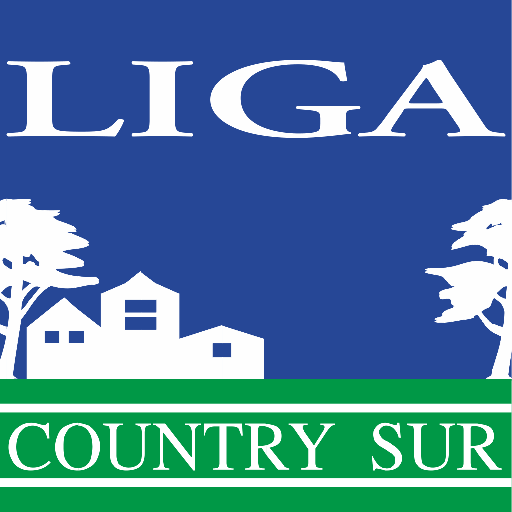 Liga Country Sur logo