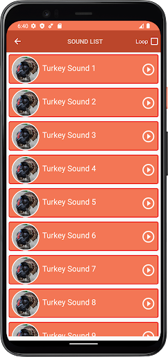 Turkey Sounds Screen 3