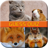 Animal Quiz Game icon