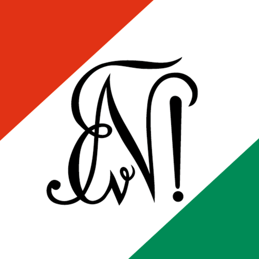 Normannia Würzburg logo
