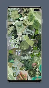 Sage green aesthetic Wallpaper