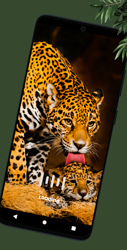 We Love Animals Screen 3