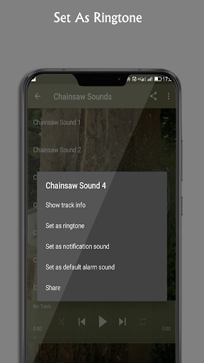 Chainsaw Sounds Screen 3