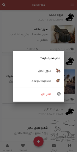 Horse Fans Screen 2