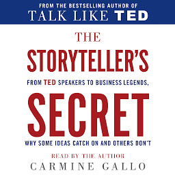 Obraz ikony: The Storyteller's Secret: From TED Speakers to Business Legends, Why Some Ideas Catch On and Others Don't