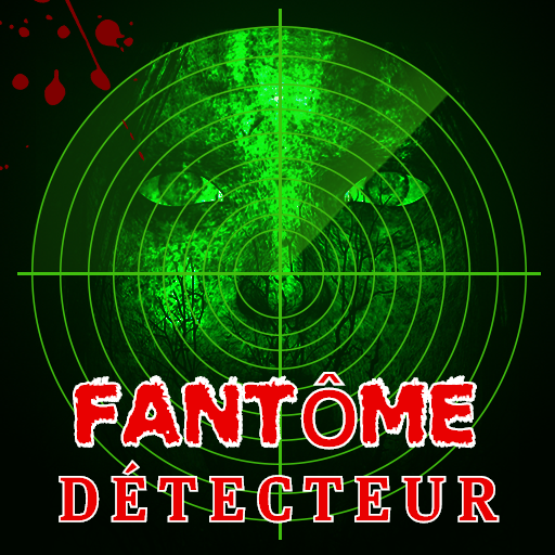 LED EMF Mètre Détecteur de Champ Magnétique Fantôme Chasse Équipement  Paranormal Testeur Noir 