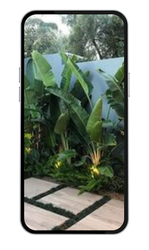 Garden Wallpapers