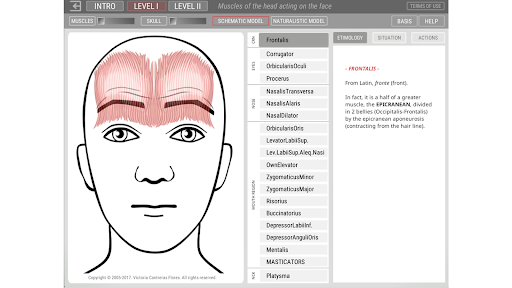 Android application Artnatomya (english) screenshort