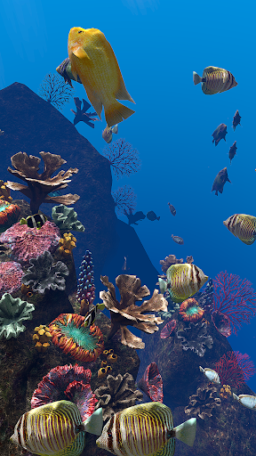 Android application Ocean Aquarium screenshort