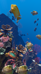 Ocean Aquarium Unknown