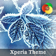 Winter Live Wallpaer | Xperia™ Theme  Icon