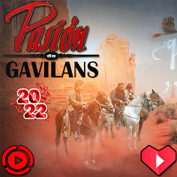 Pasion de Gavilans novela 2022