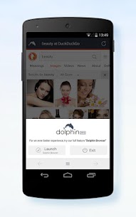 Dolphin Zero Incognito Browser – Private Browser 3