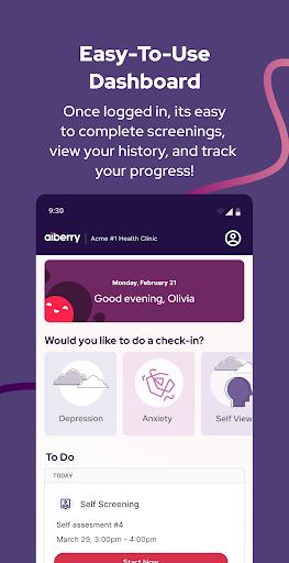 Aiberry Screen 2