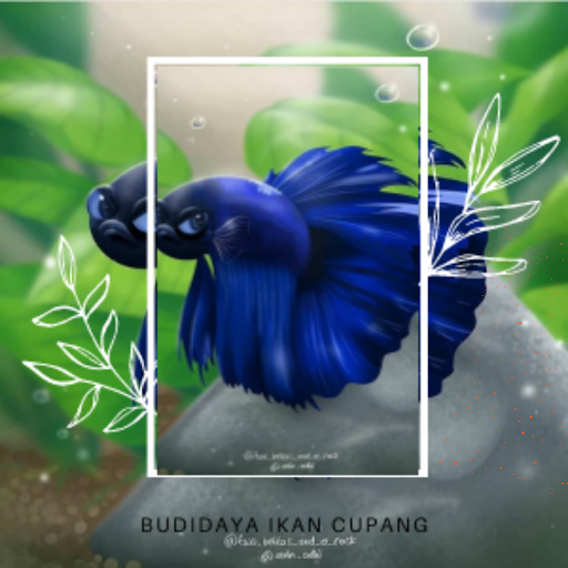 Budidaya Ikan Cupang Hias Lengkap