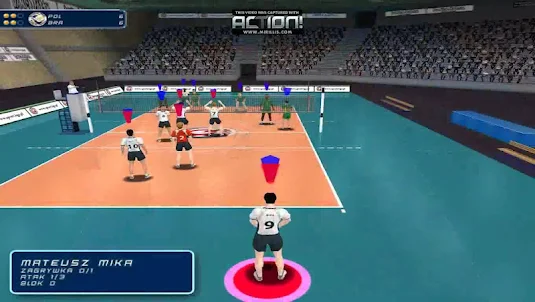 volleyball 3d 2017