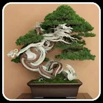 Cover Image of Download Background Bonsai Wallpaper  APK