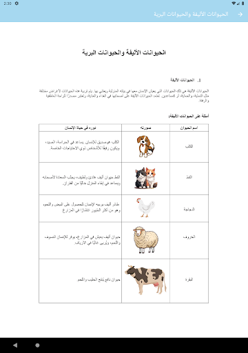 Bouhouthi - بحوثي