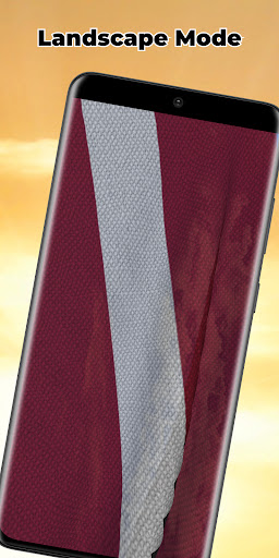 Latvia Flag Live Wallpaper Screen 3