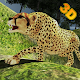 Wild Cheetah Attack Game