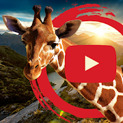 Top 30 Education Apps Like Animal Documentaries - Wildlife - Best Alternatives