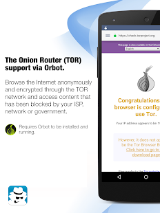 InBrowser - Incognito Browsing Varies with device APK screenshots 8