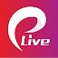 Peegle Live - Live Stream
