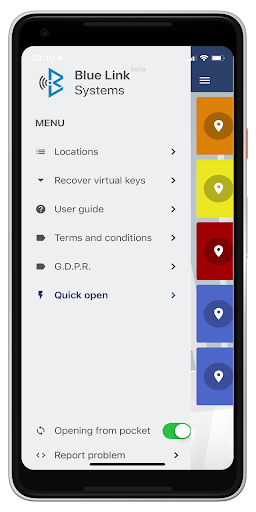 BlueLink Access Screen 3