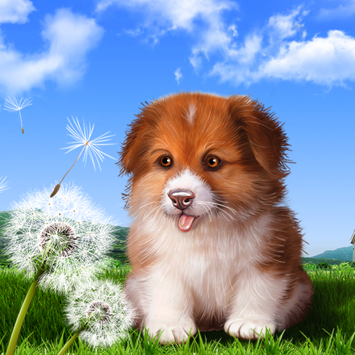 Puppy Wallpaper  Icon